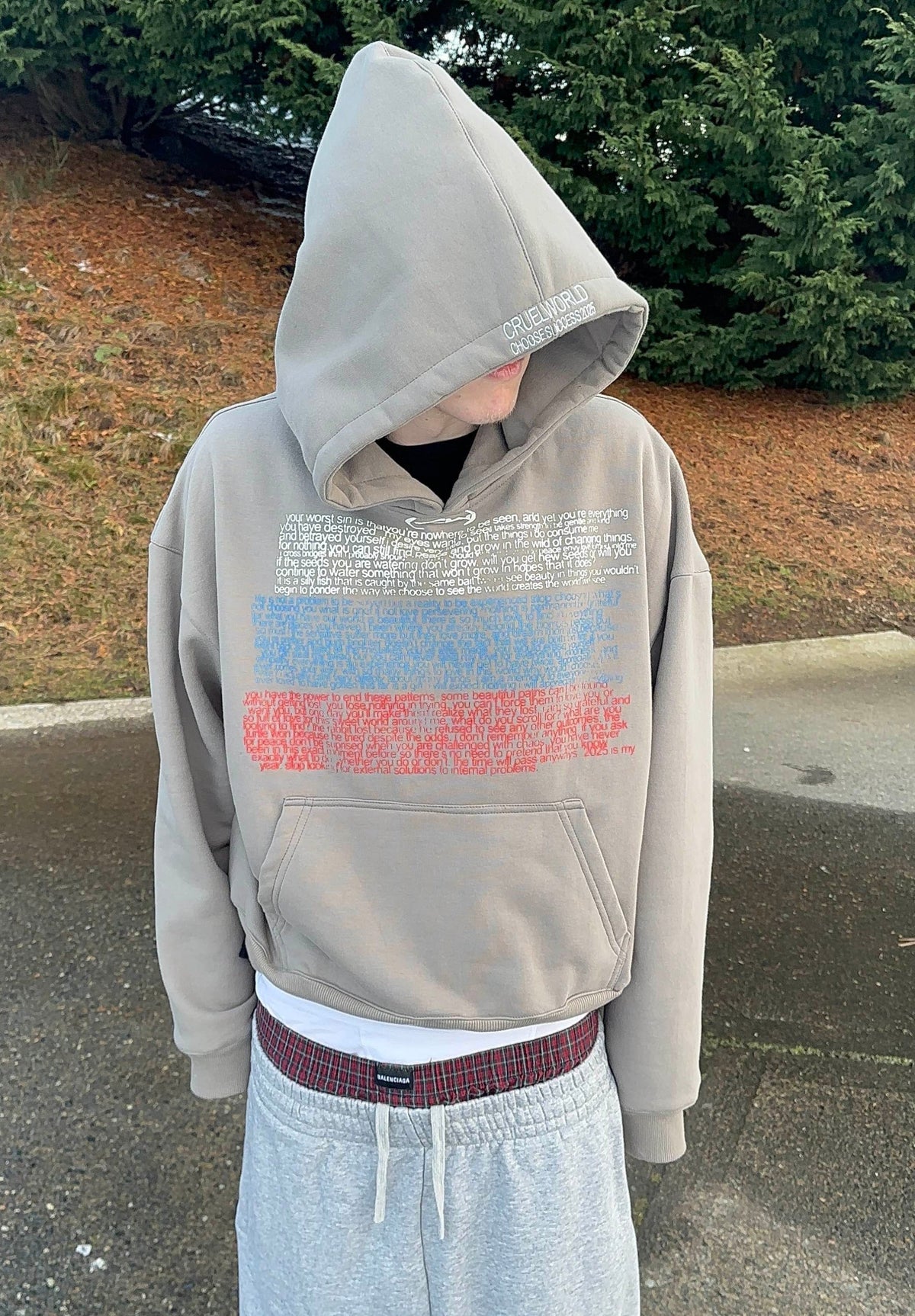 hushed chaos hoodie Cruel World