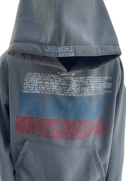 hushed chaos hoodie Cruel World